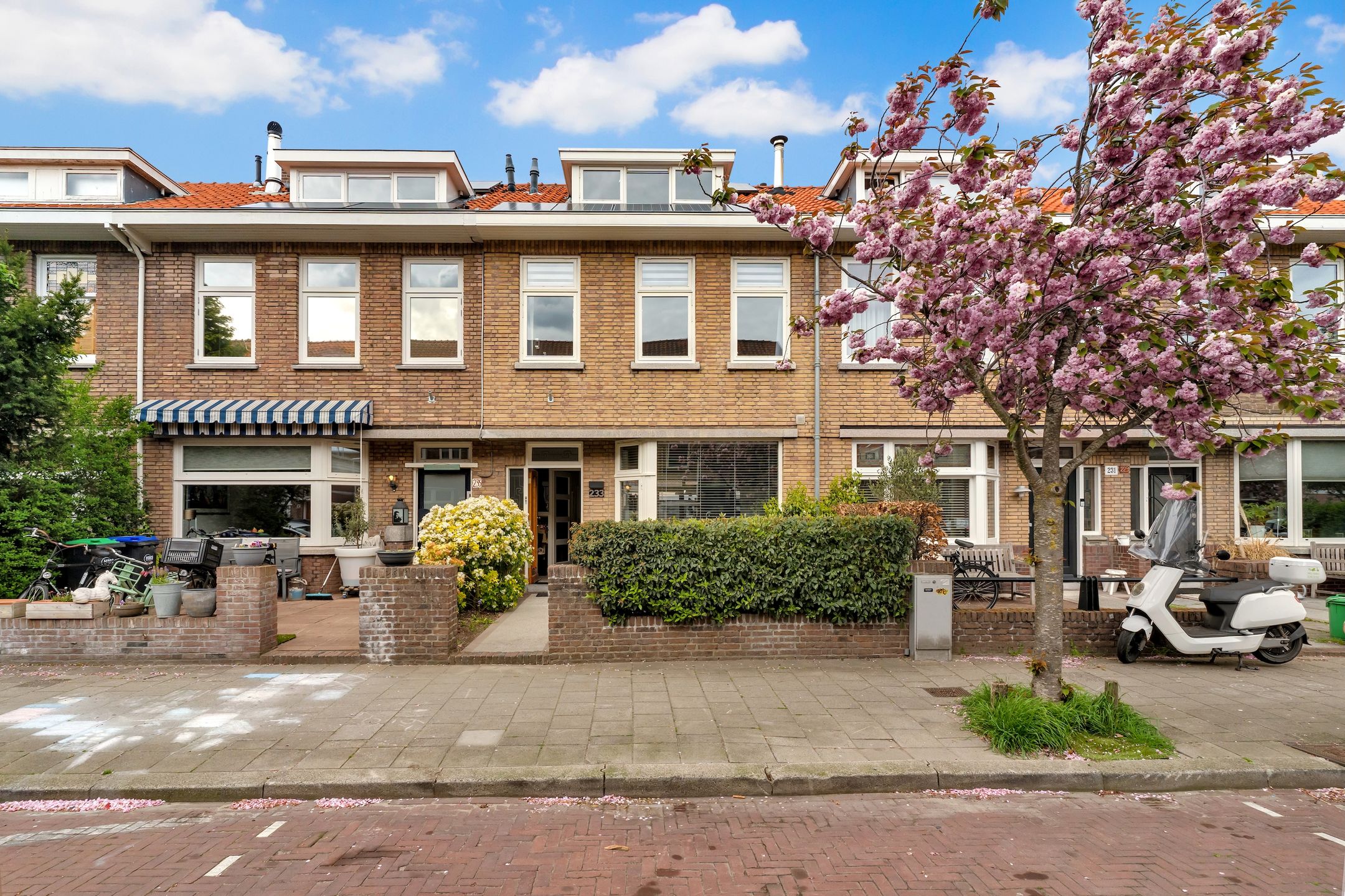 Tomatenstraat 233 
