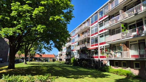 Piersonstraat thumbnail