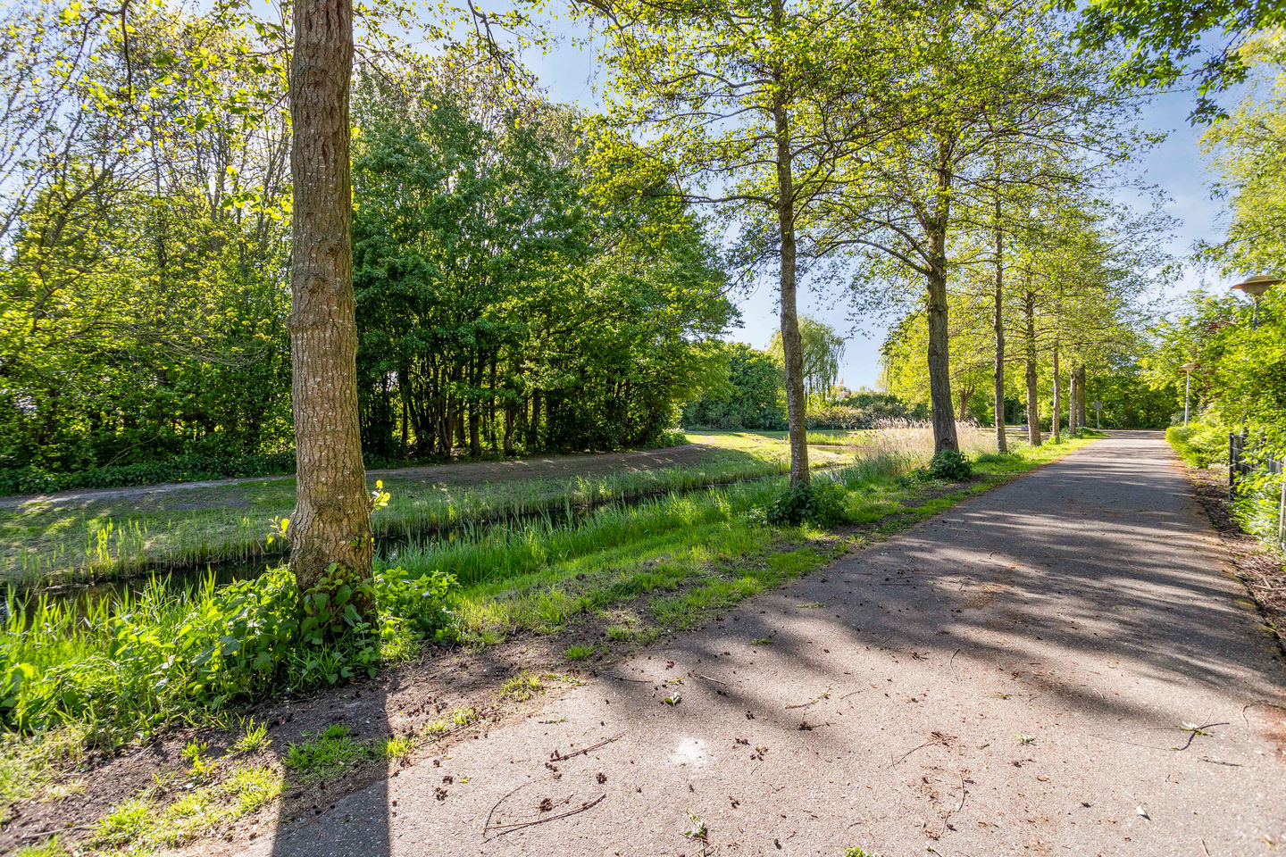 Photo 64 of Gouwe 21