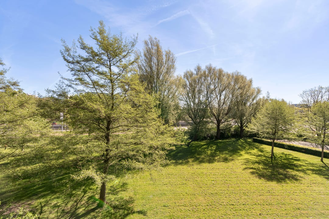 Photo 11 of Tiengemeten 97