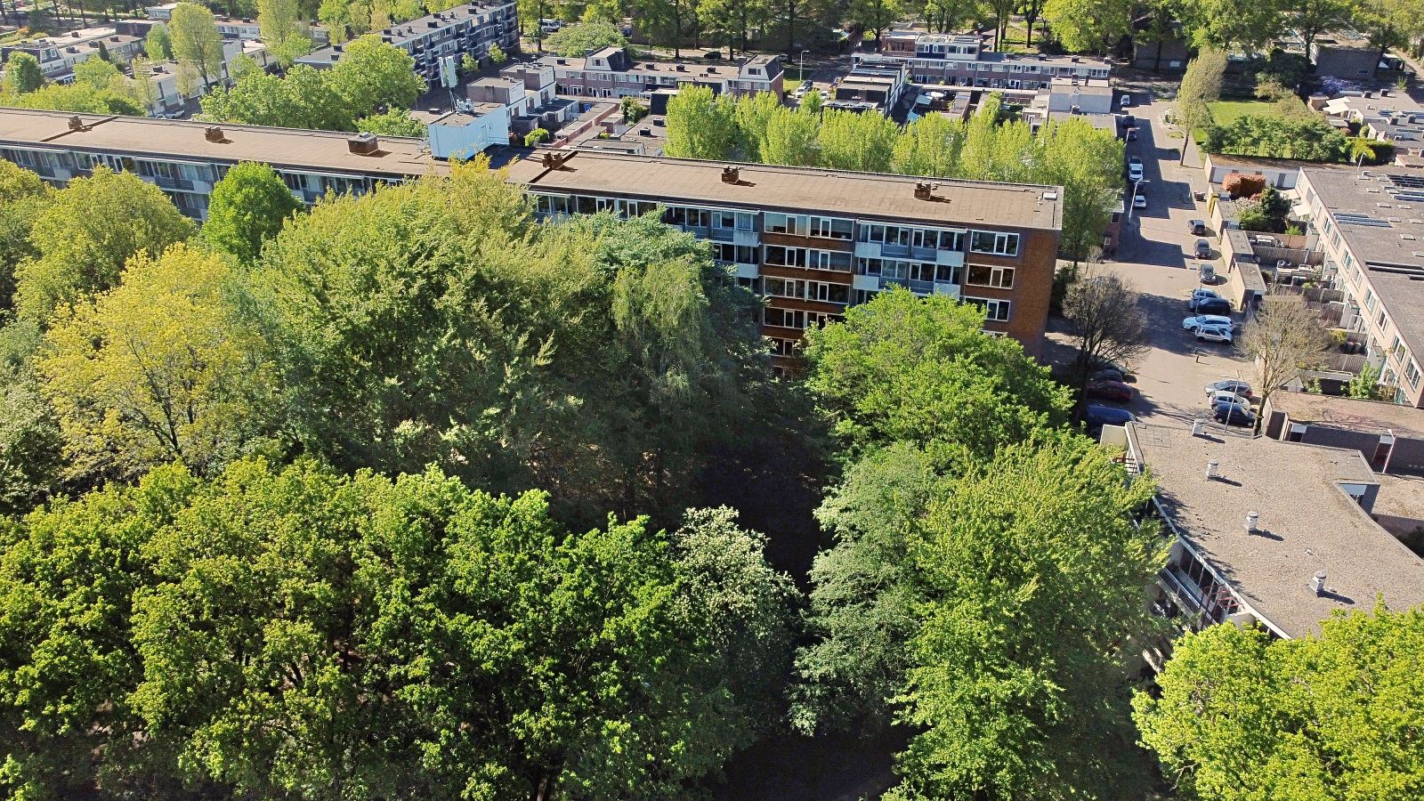 Photo 33 of Professor Cobbenhagenlaan 392