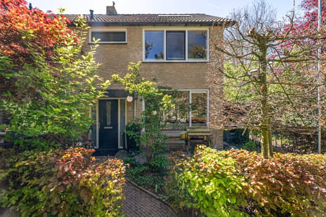 Kievitstraat thumbnail