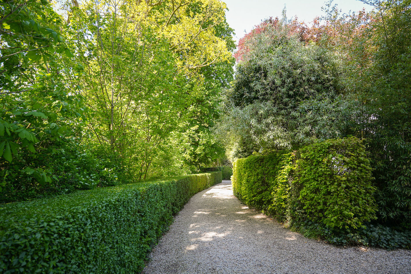 Photo 59 of Molenstraat 22