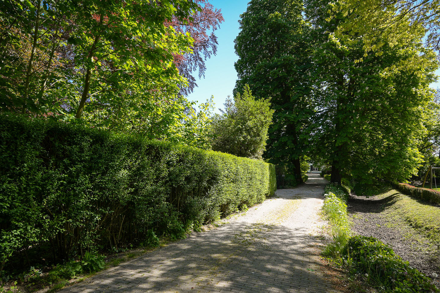 Photo 64 of Molenstraat 22