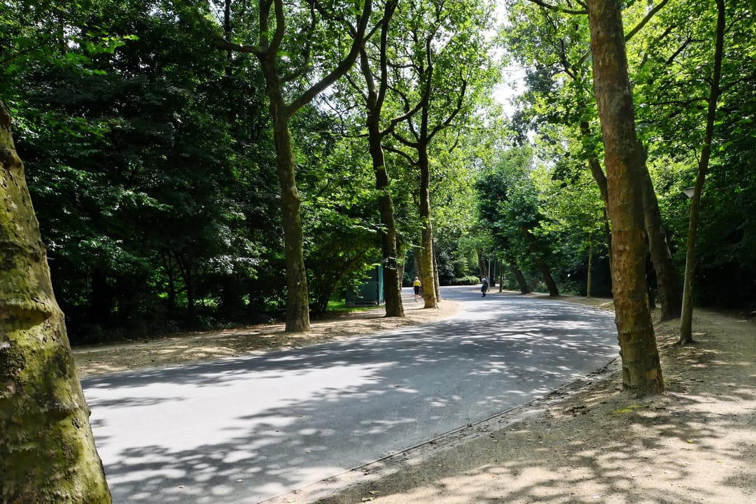 Photo 41 of Gerard Brandtstraat 16-H