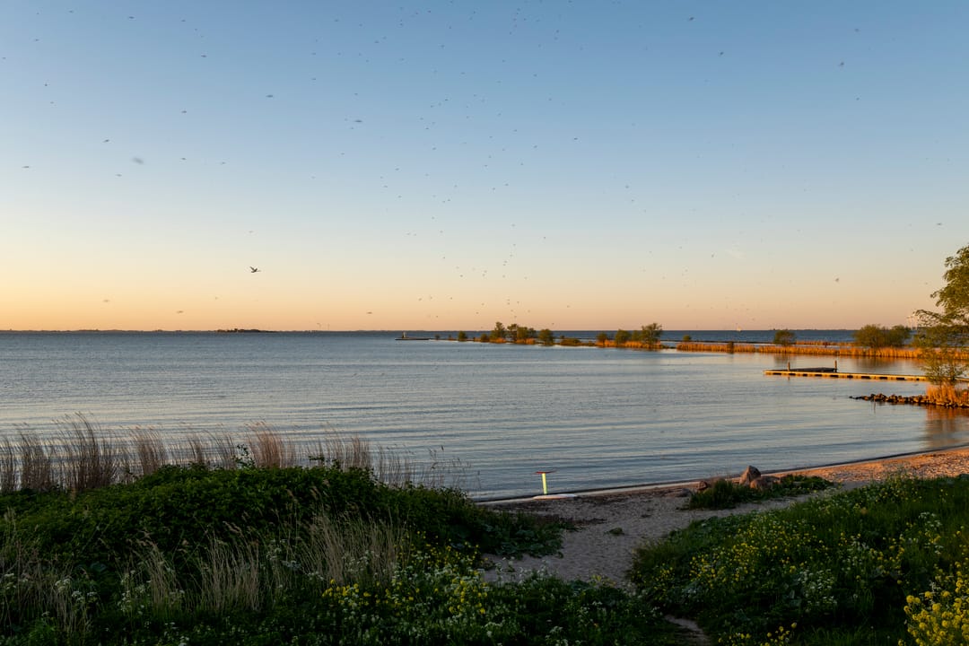 Photo 37 of Waterlinie 42