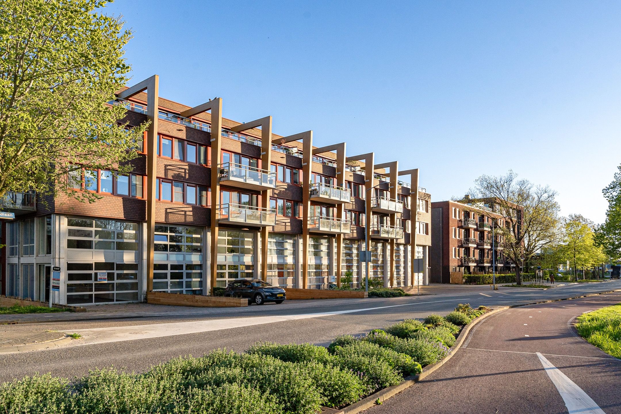 De Werf 50 