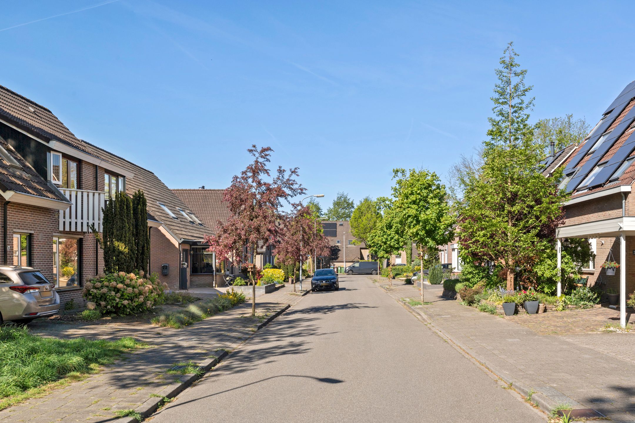 Photo 3 of Boterbloem 57