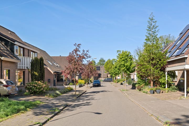 Photo 3 of Boterbloem 57