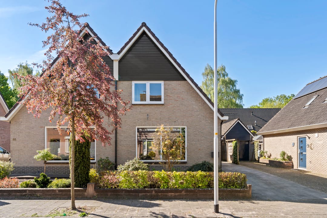 Photo 7 of Boterbloem 57