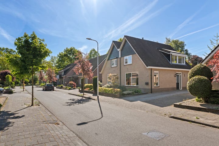 Photo 4 of Boterbloem 57
