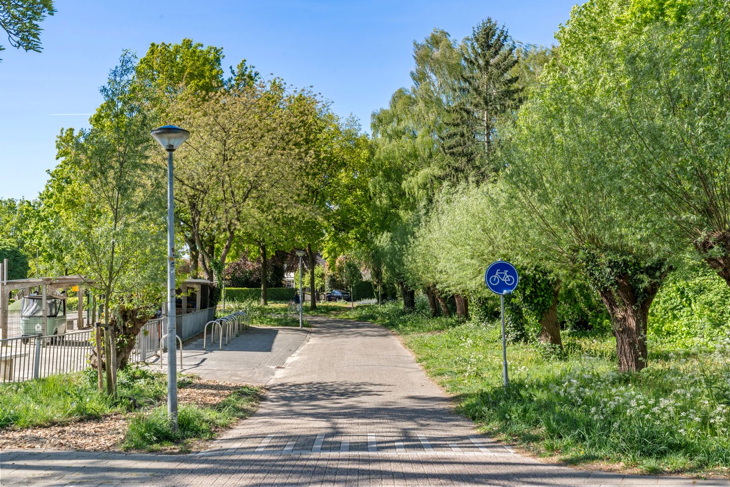 Photo 5 of Boterbloem 57