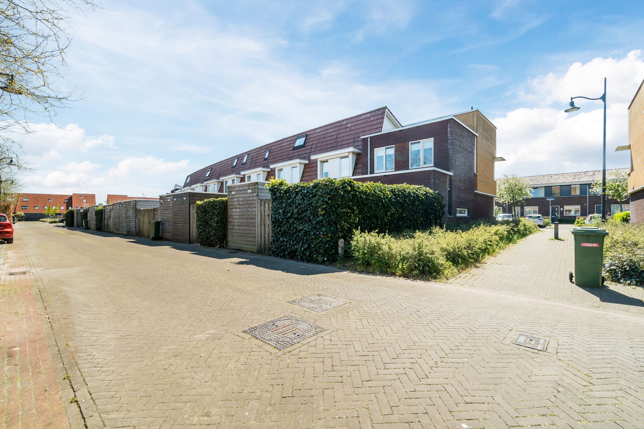 Foto 42 van Vuurvlinder 20