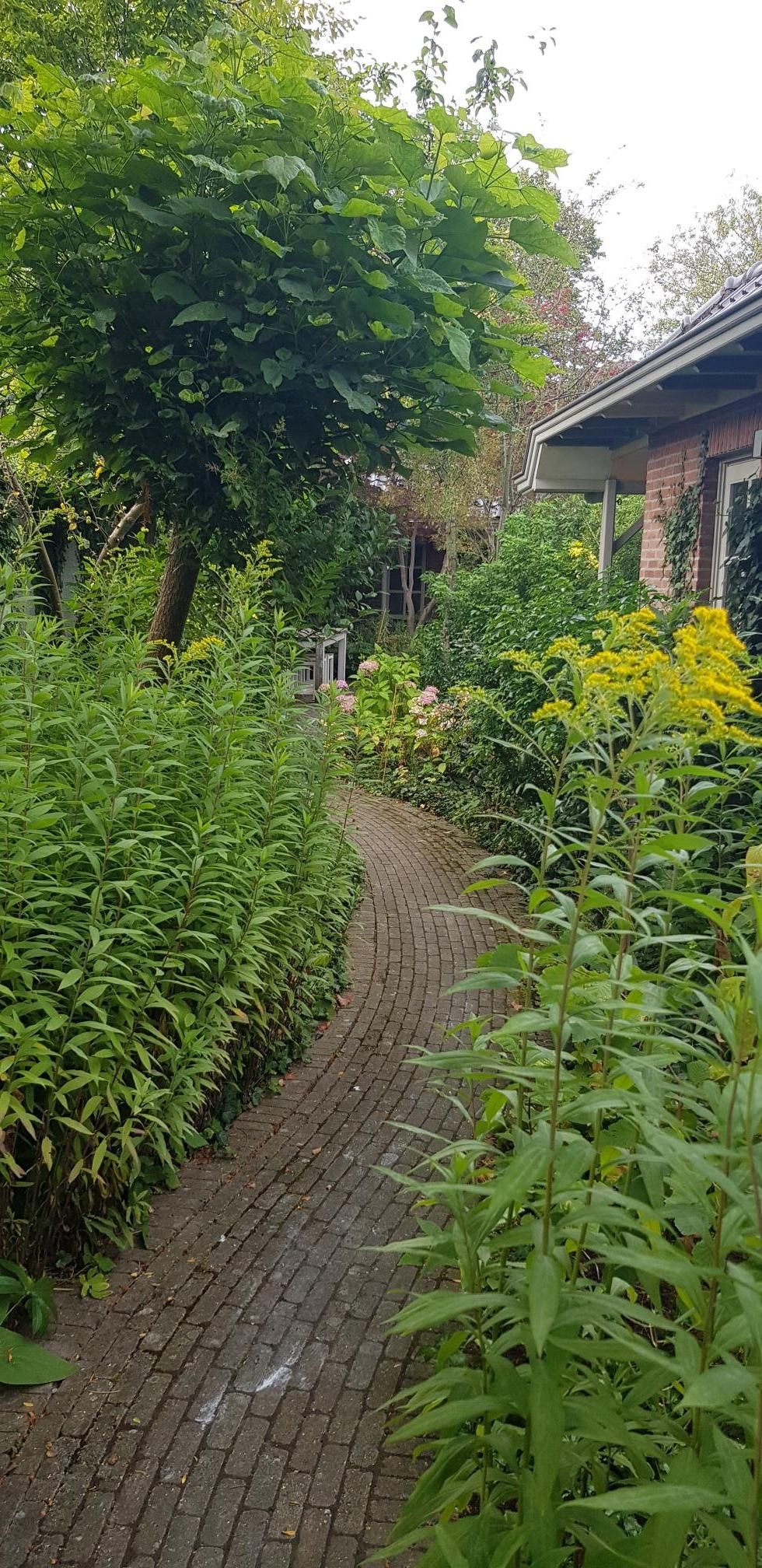 Foto 58 van Vondellaan 71-A