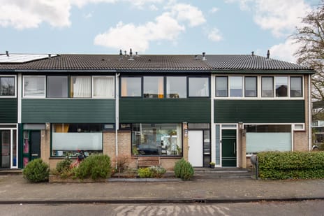 Alphons Ariënsstraat thumbnail