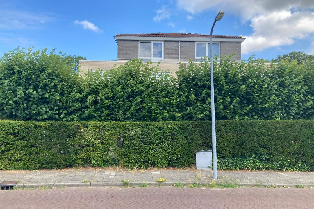 Photo 43 of De Ruijt 5