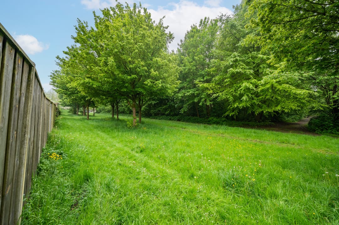 Photo 38 of Bloemenzoom 129