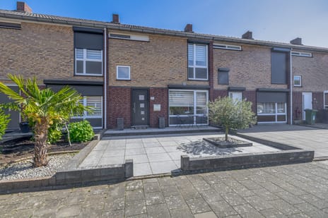 Reigerstraat thumbnail