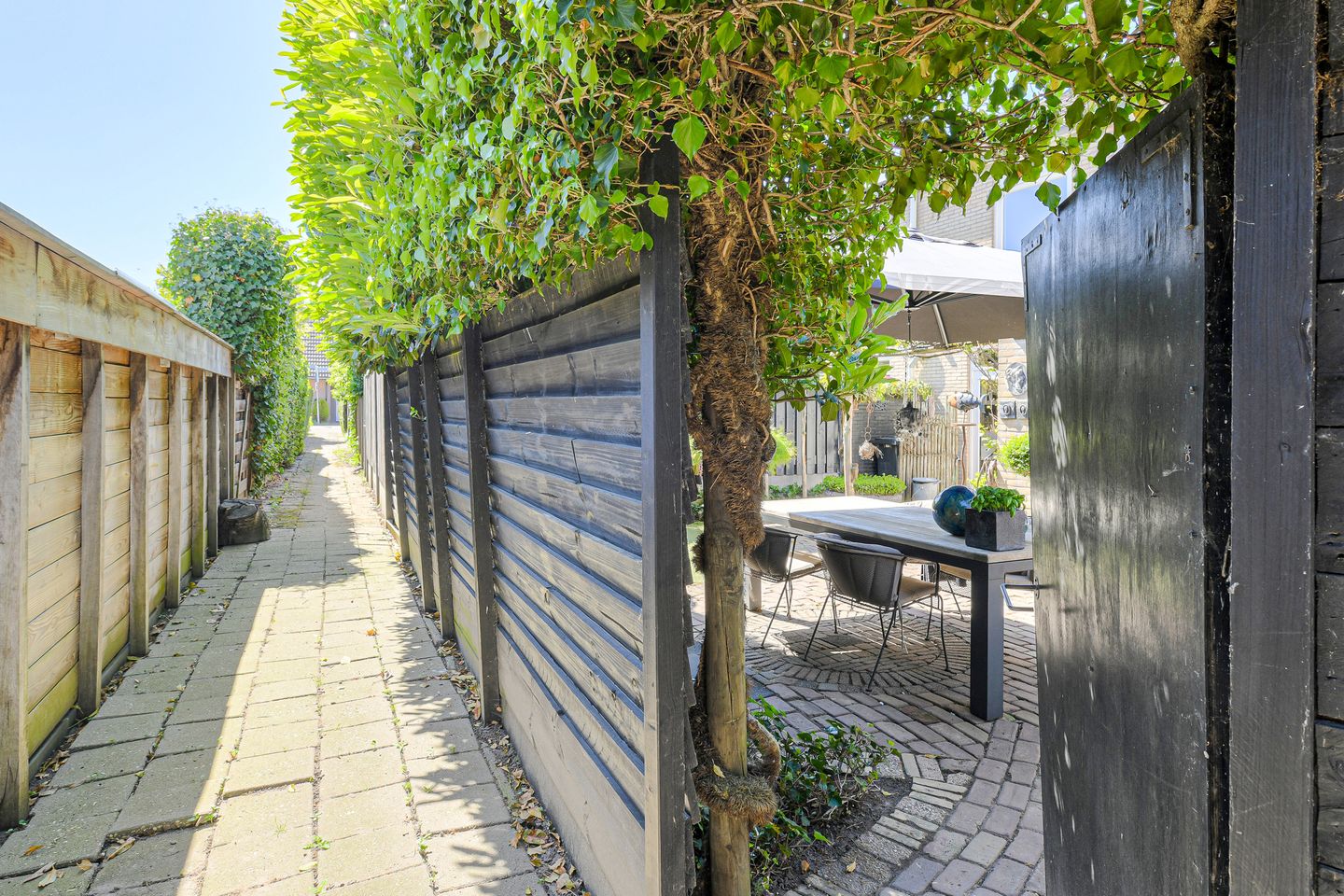 Photo 40 of Bronkhorst 46
