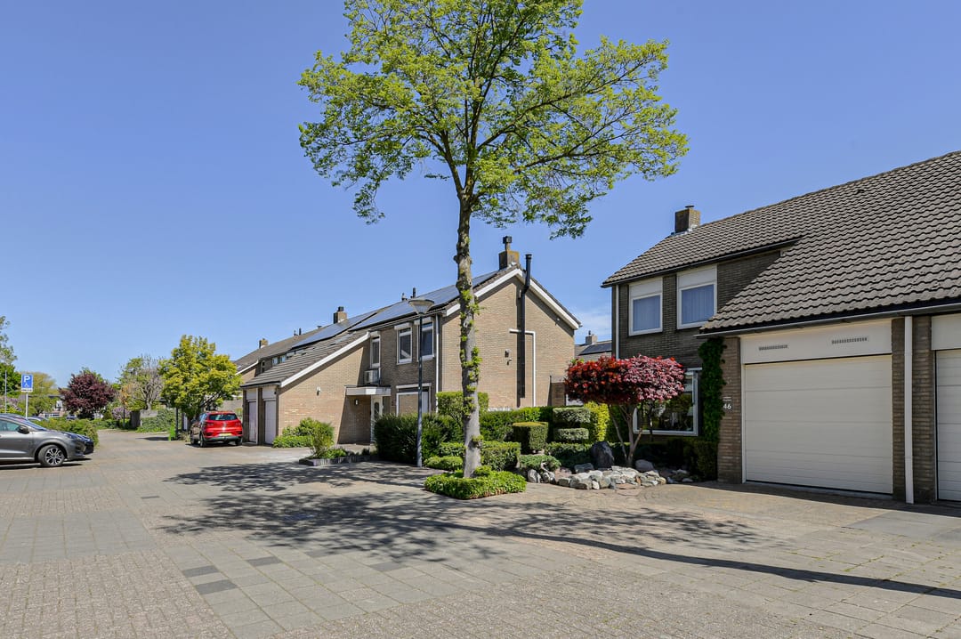 Photo 43 of Bronkhorst 46