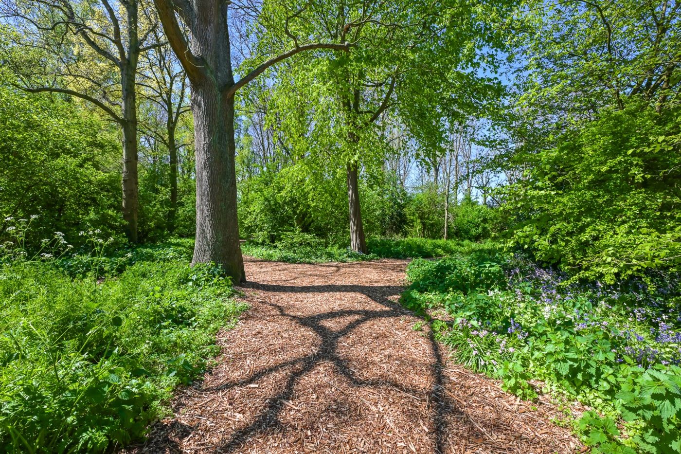 Foto 42 van Het Bleekveld 22