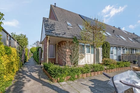 Moreelsestraat thumbnail