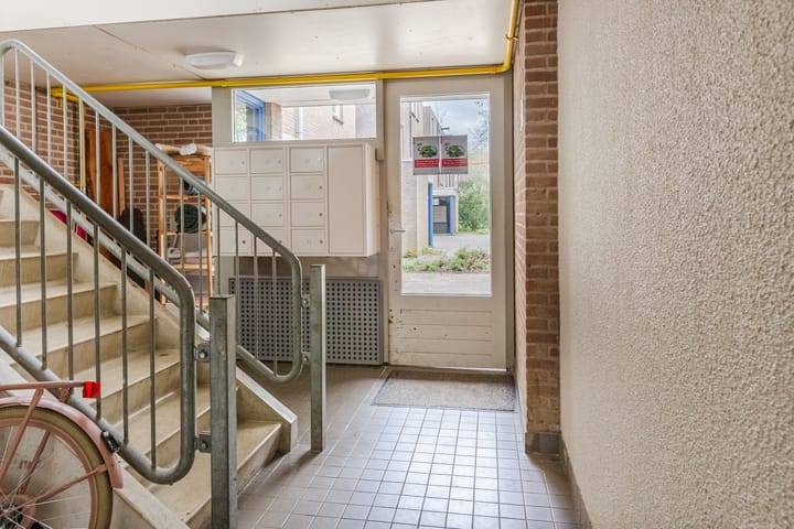 Foto 4 van Wamelstraat 44