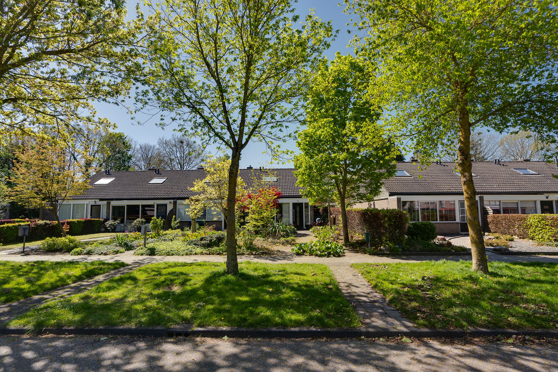 Rozenstraat 9 