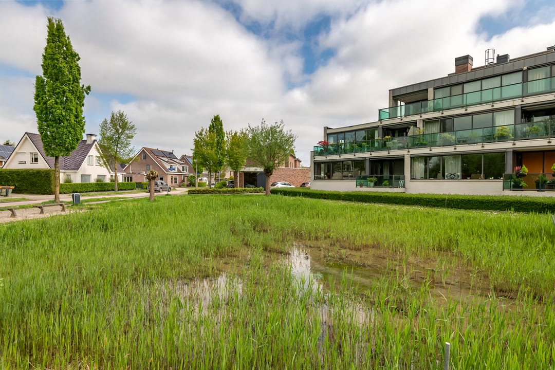 Photo 32 of Burgemeester Hommesstraat 74