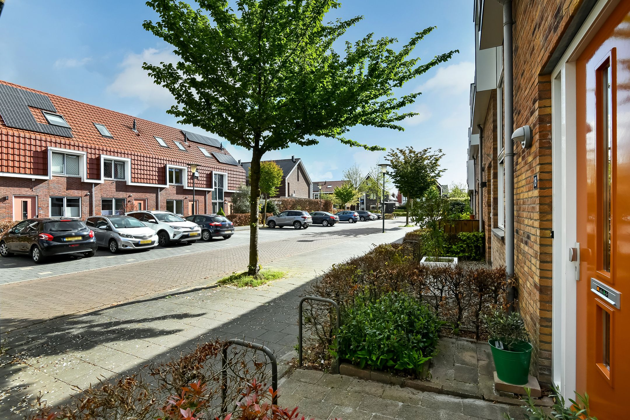Photo 6 of Fonteinkruid 18