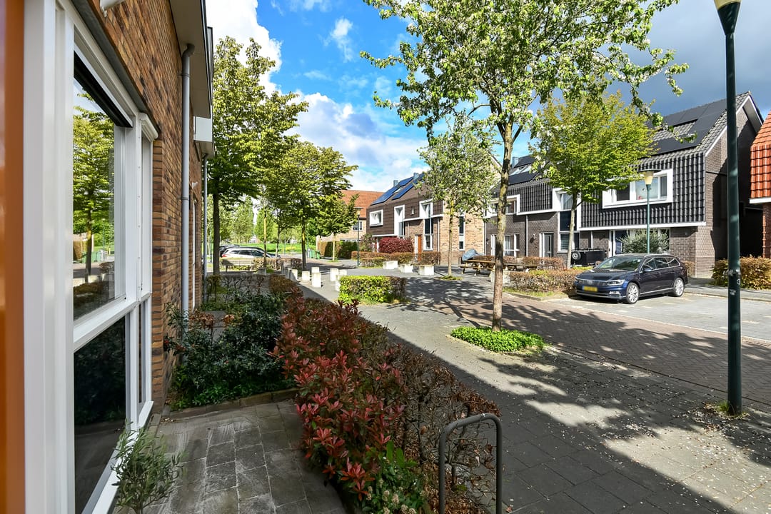 Photo 7 of Fonteinkruid 18