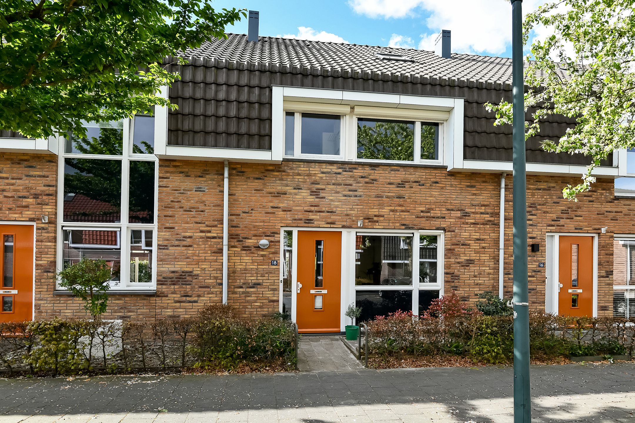 Fonteinkruid 18 