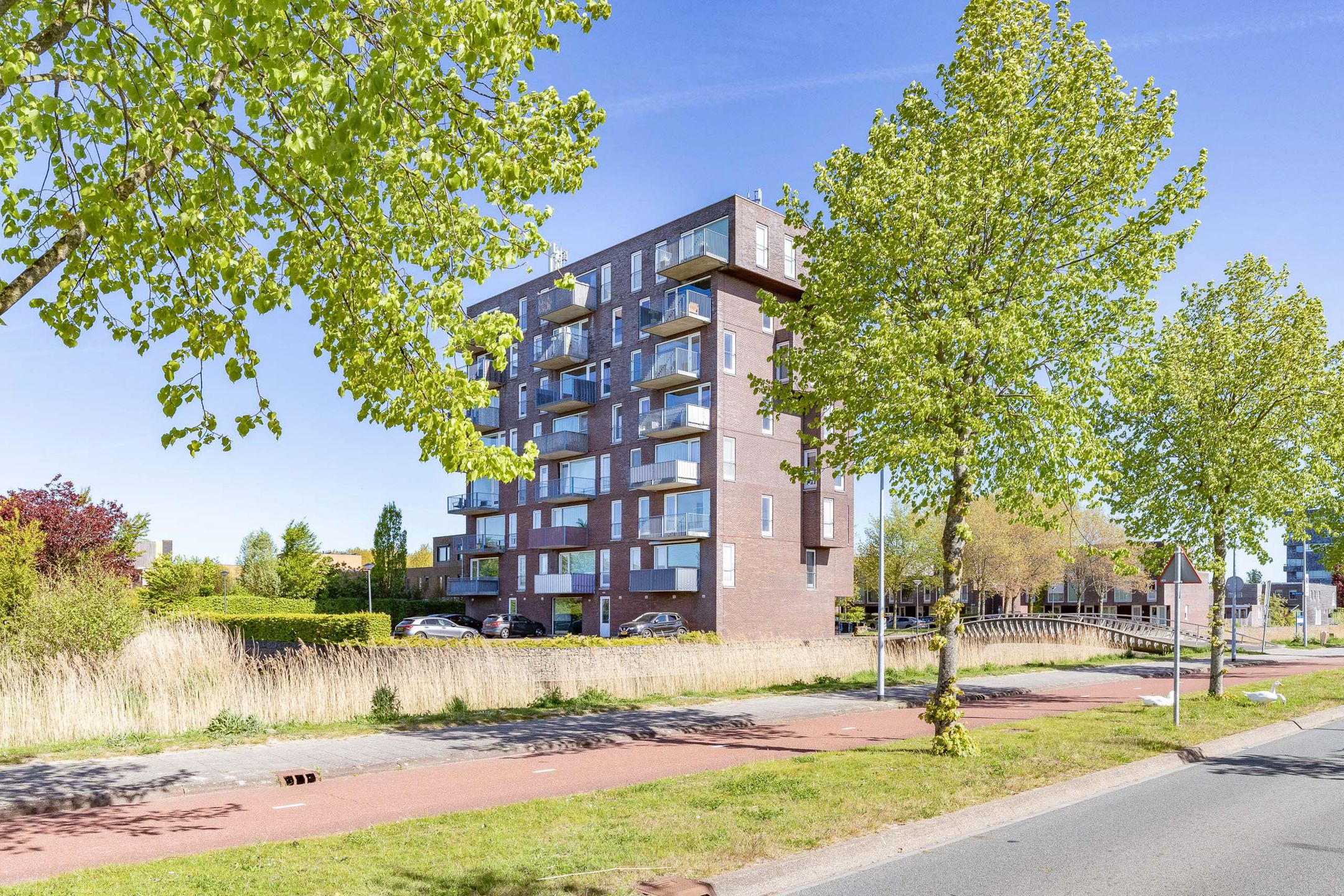 Foto 6 van De Slufter 36