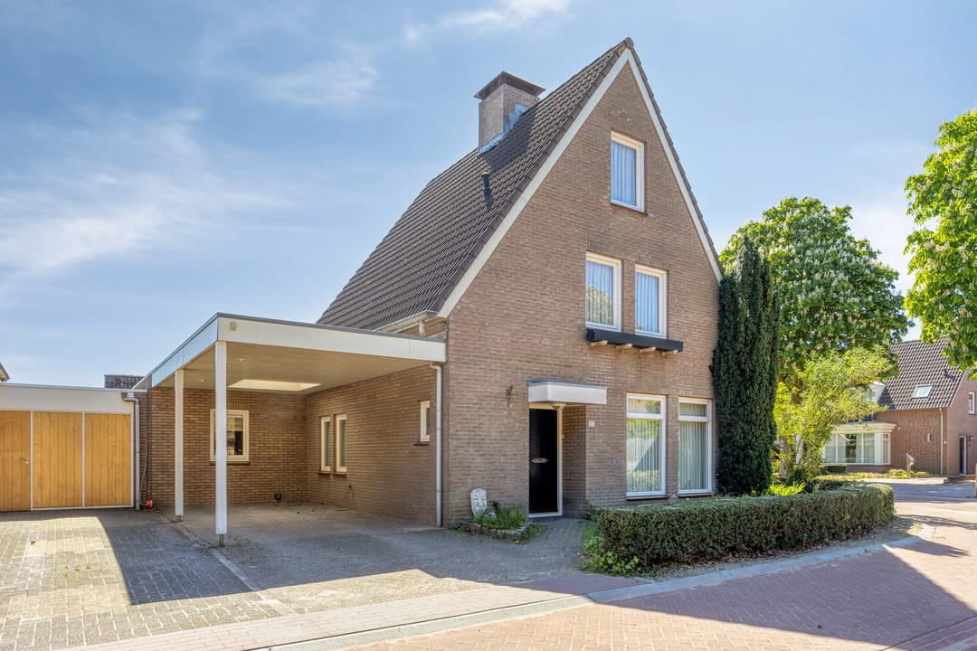 Photo 1 of De Kastanjes 20