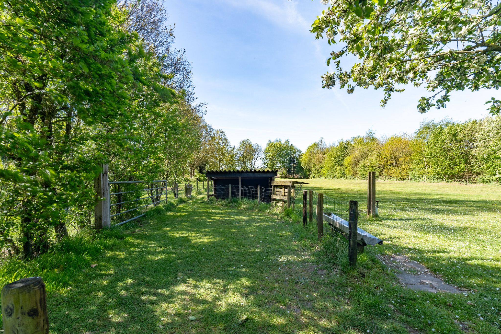Photo 63 of Ommerweg 59-A