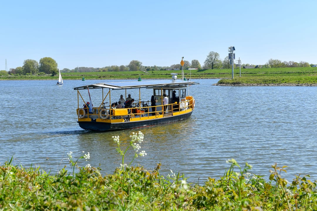 Foto 41 van Rijnlaan 3