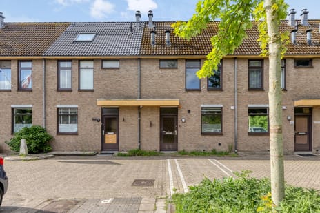 Kwikstaartveld thumbnail