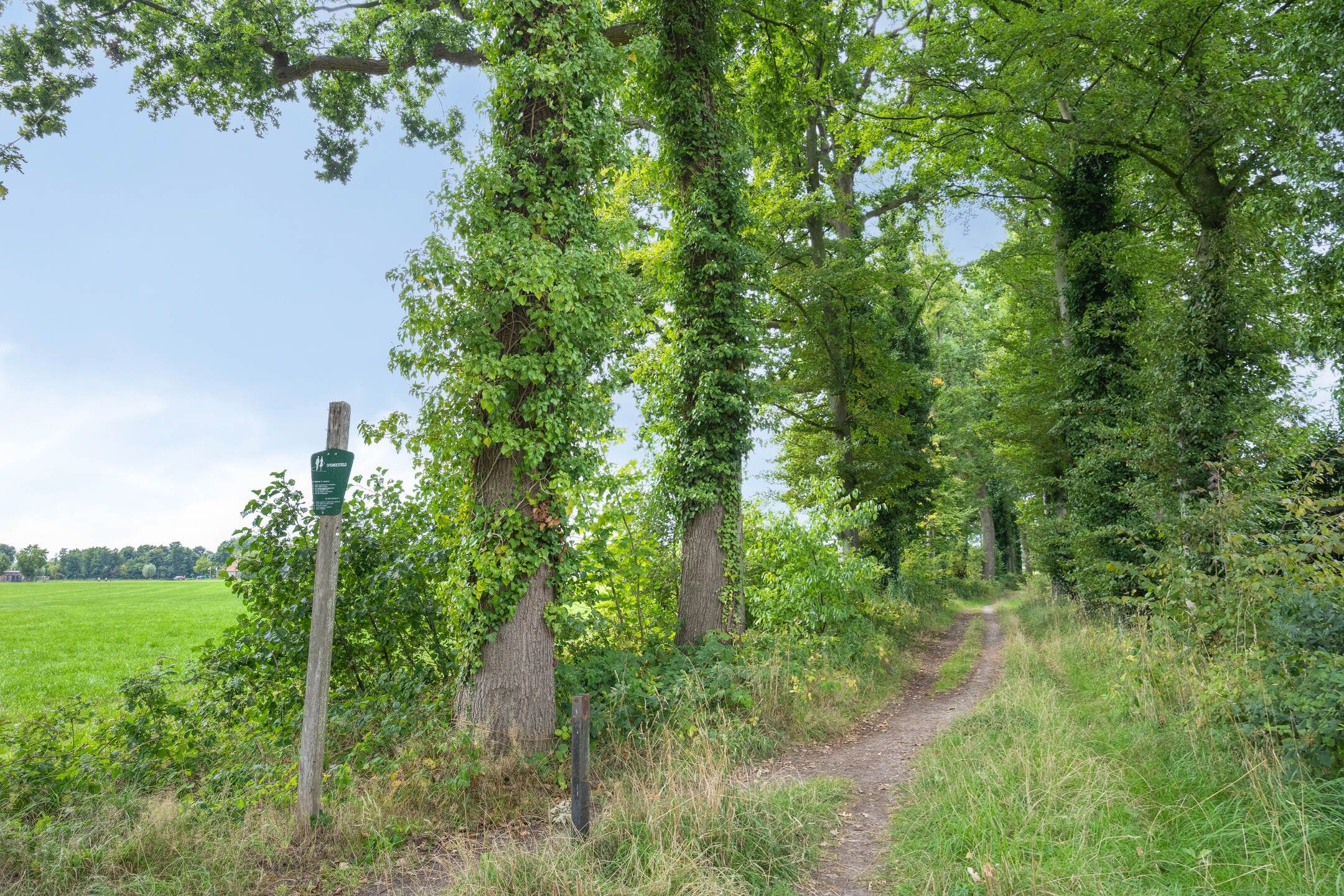 Foto 45 van Burg Röell-laan 7