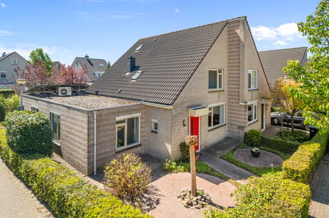 Anne Franklaan thumbnail