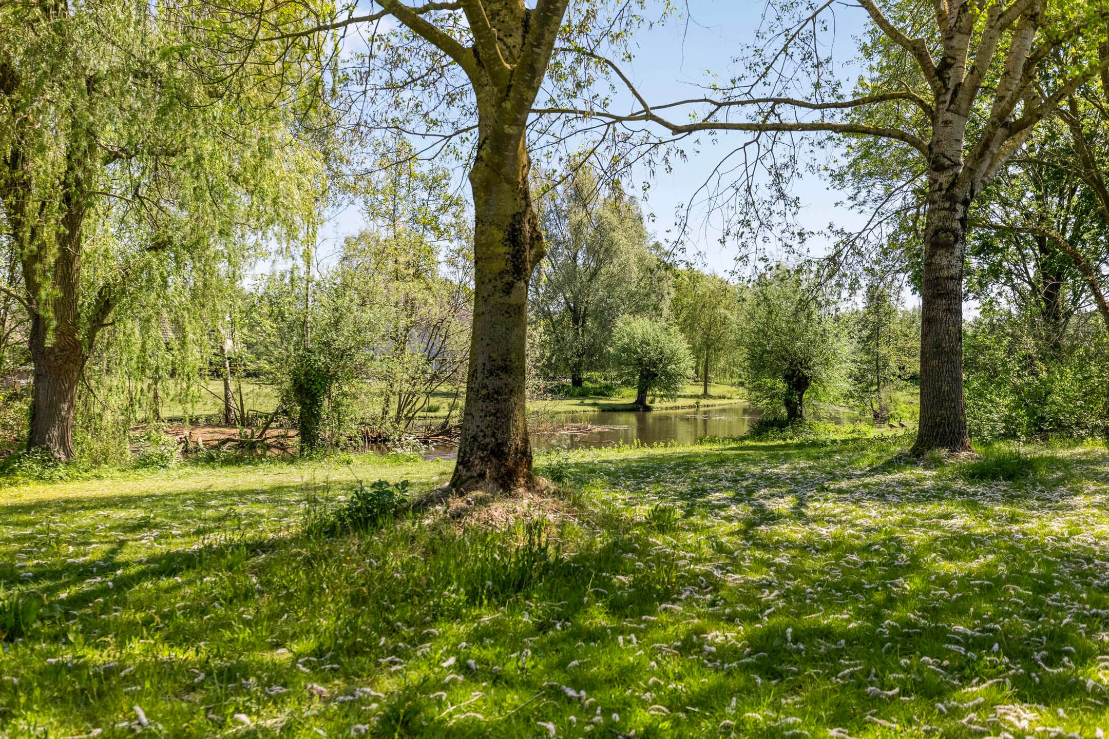 Photo 36 of Anderegglaan 22