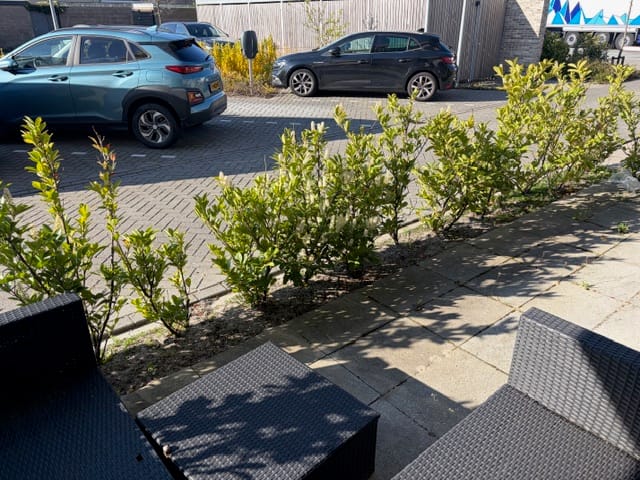 Foto 6 van Muiderwaard 426-C
