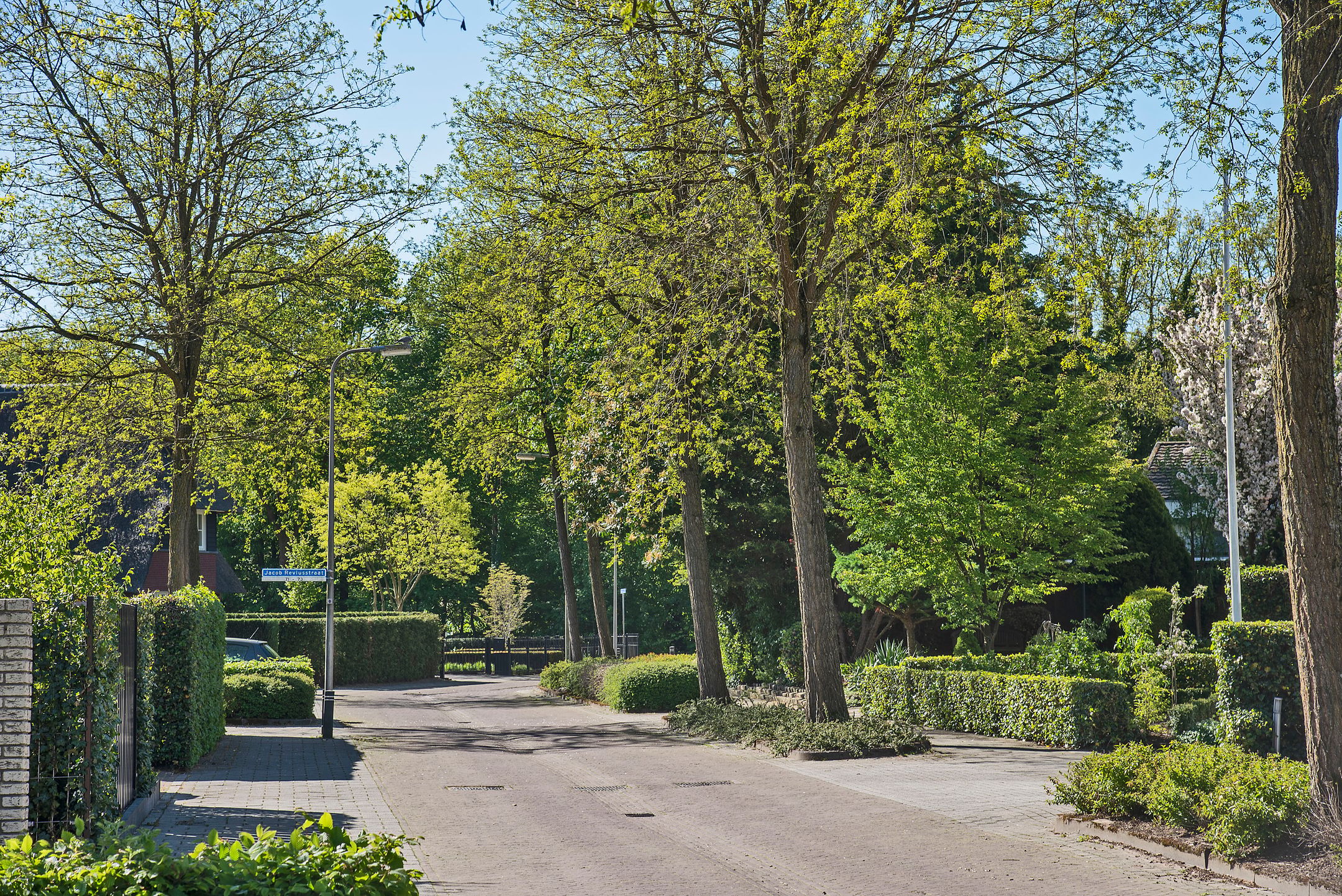 Photo 42 of Gerbrand Adriaanszoon Brederodestraat 30