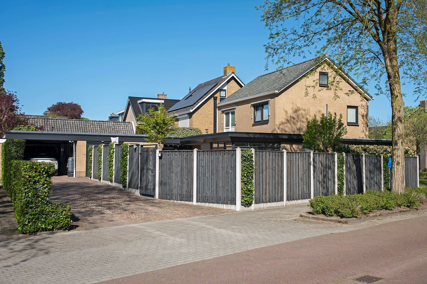 Photo 35 of Gerbrand Adriaanszoon Brederodestraat 30