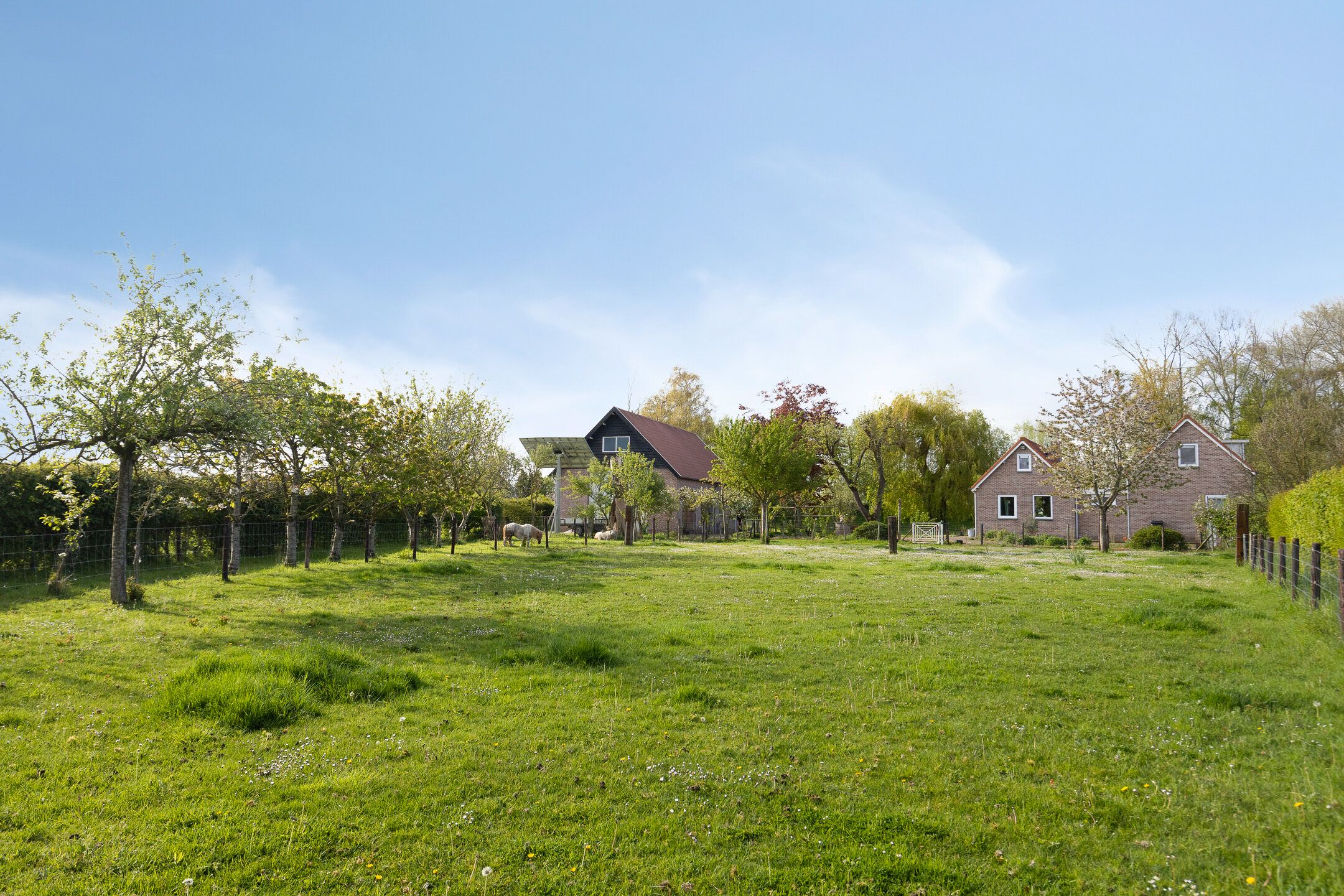 Foto 42 van Zuidlangeweg 12