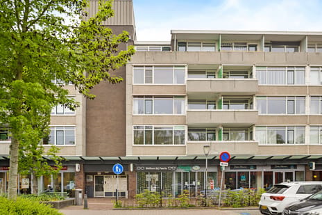 Van Ostadelaan thumbnail