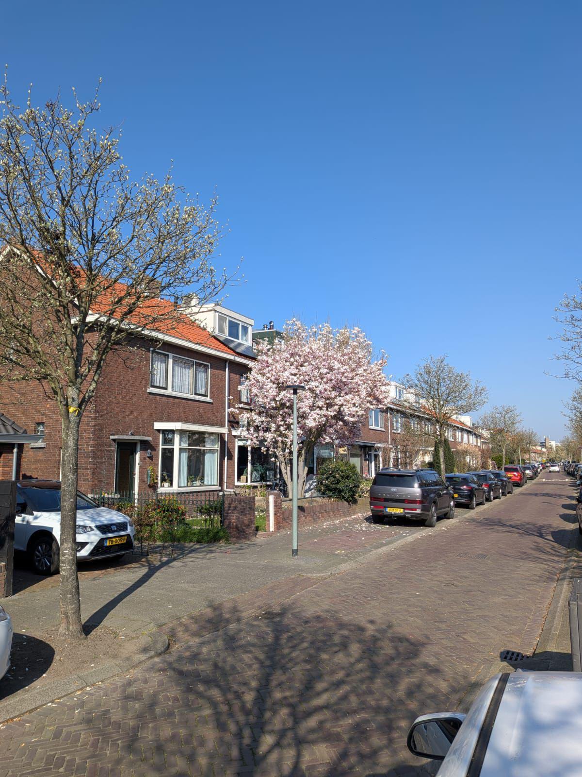 Foto 42 van Kievitlaan 2-A