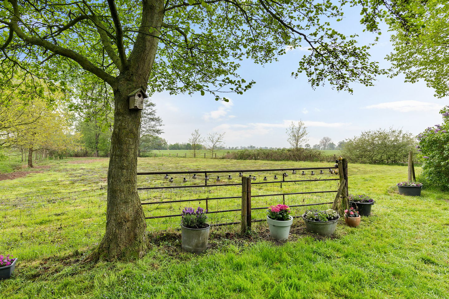 Photo 25 of Noorderweg 3