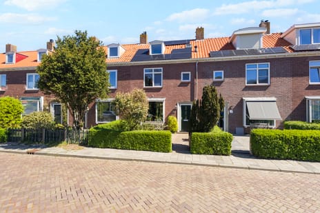 Borneolaan thumbnail