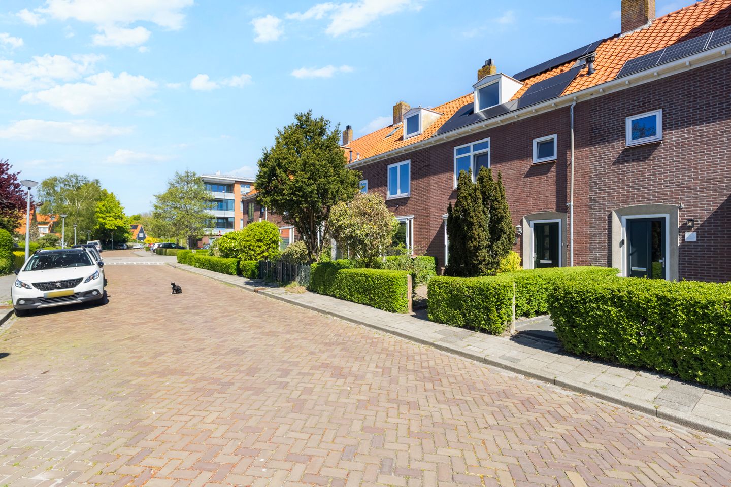 Foto 5 van Borneolaan 19