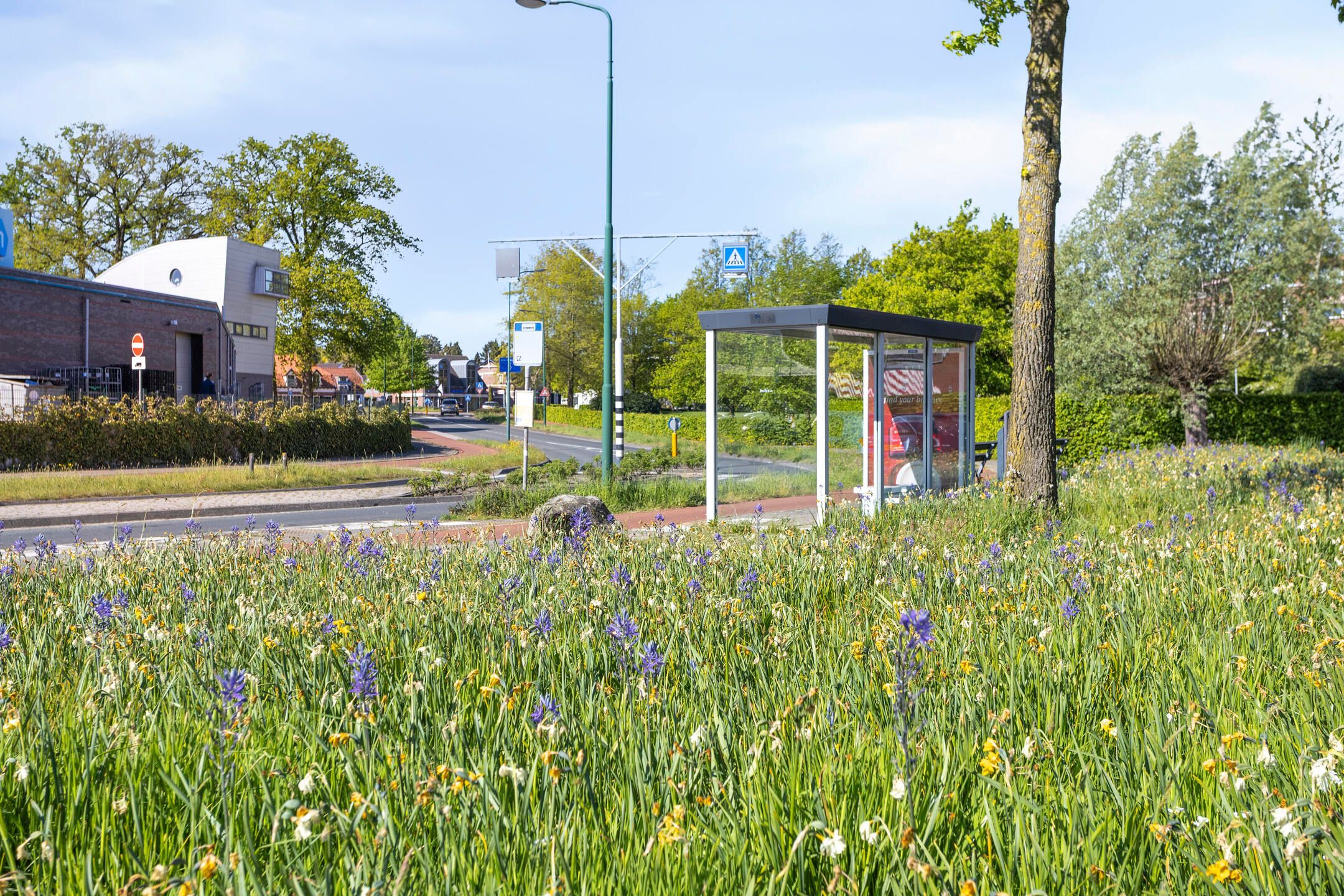 Photo 33 of Wilgenblik 60